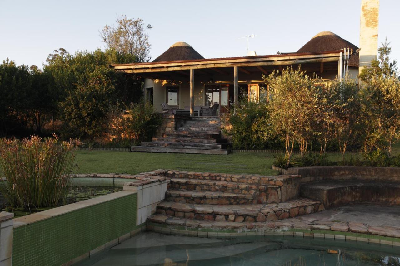 Forest Hills Knysna Esterno foto