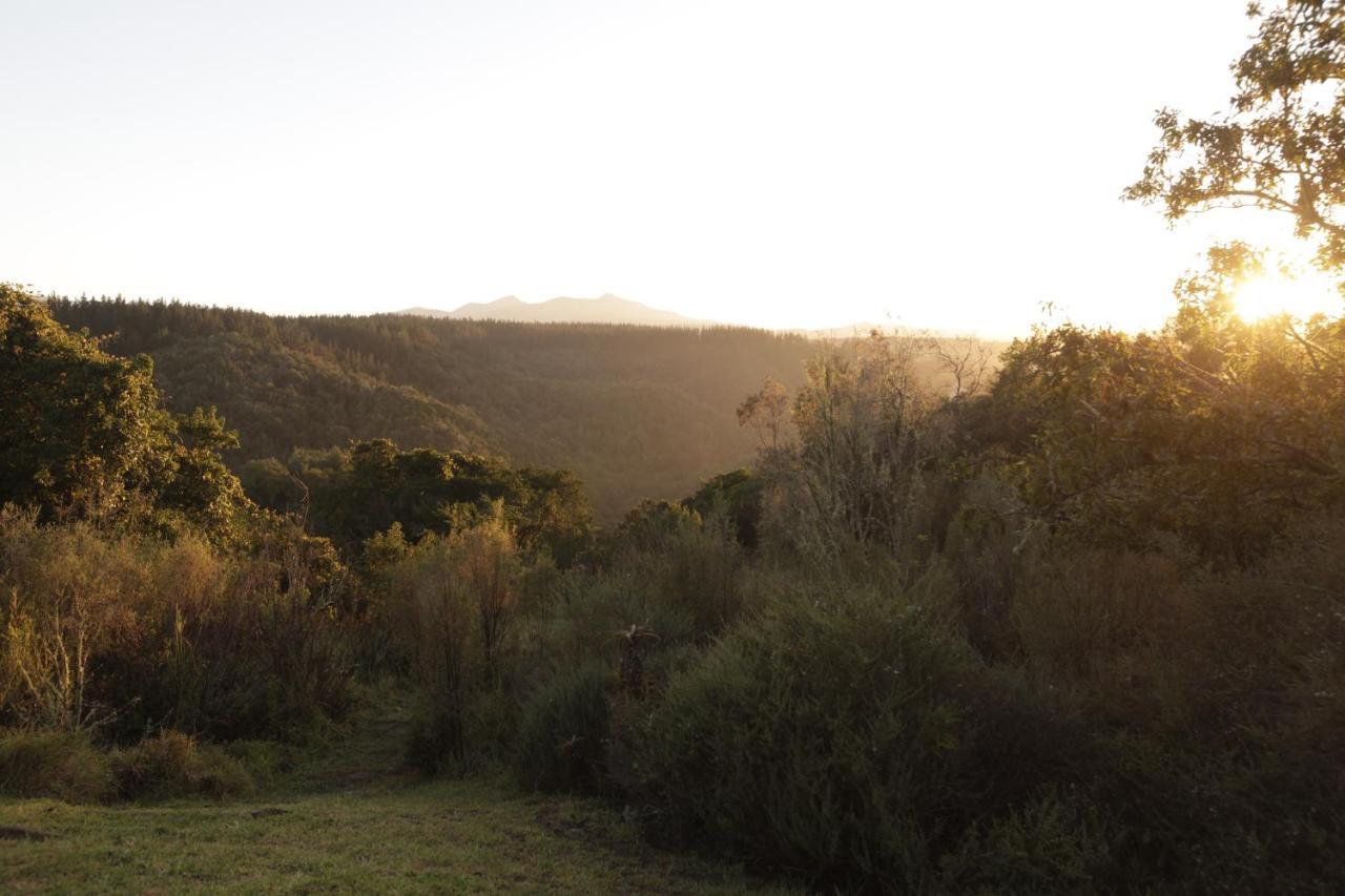 Forest Hills Knysna Esterno foto