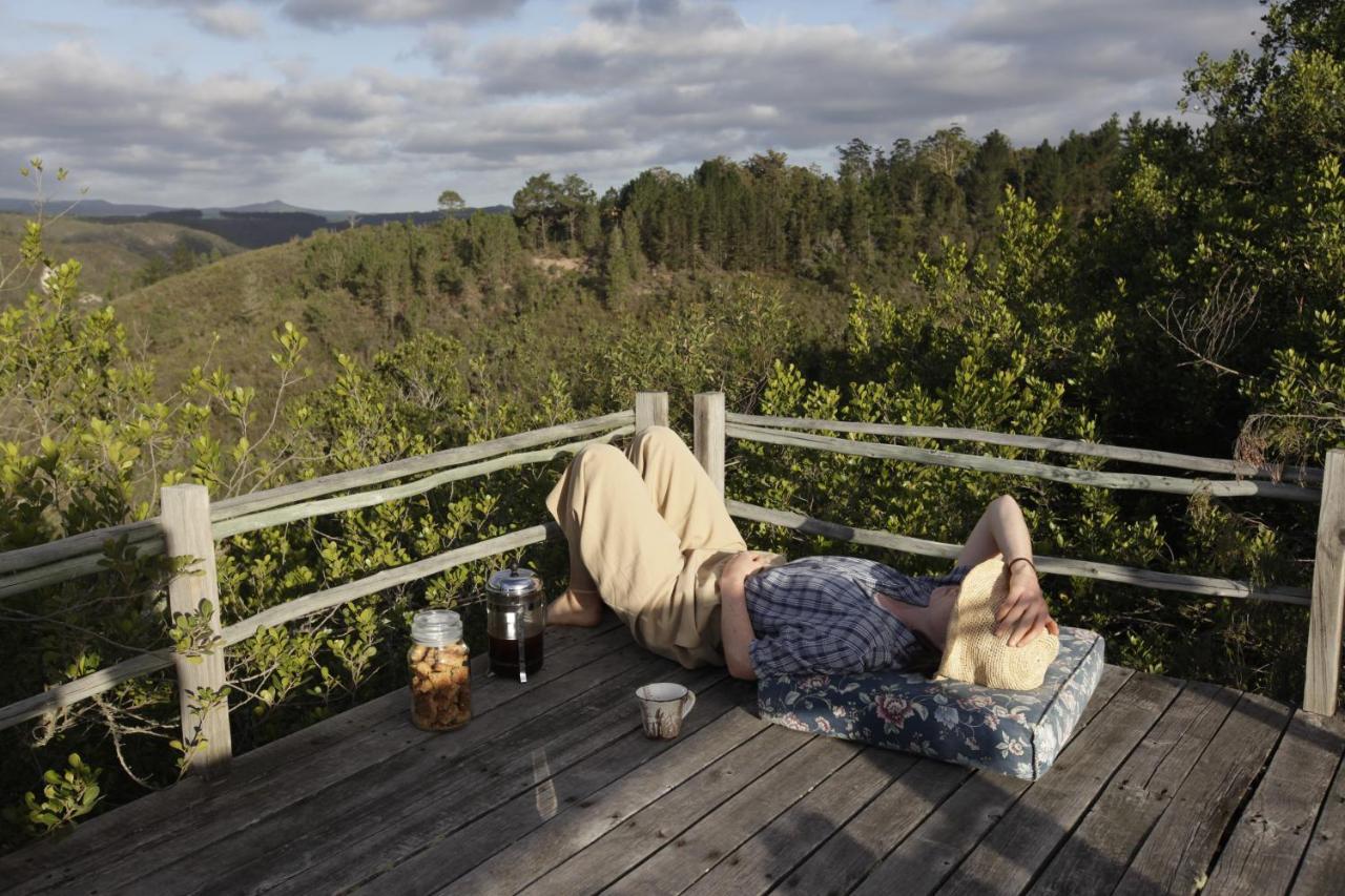 Forest Hills Knysna Esterno foto