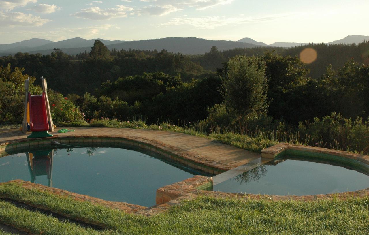 Forest Hills Knysna Esterno foto
