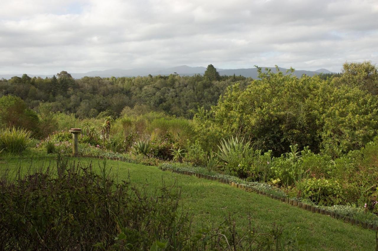 Forest Hills Knysna Esterno foto